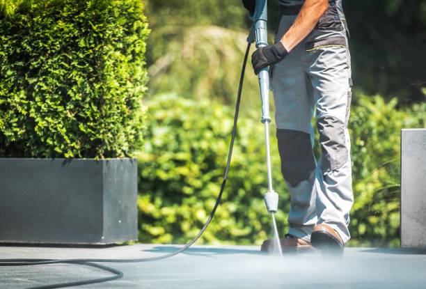Best Gutter Cleaning  in Humboldt, TN