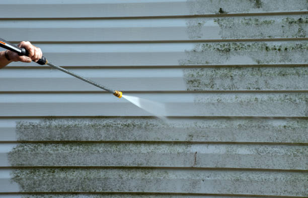 Best Building Exterior Washing  in Humboldt, TN